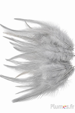 Gallo - 8-12 cm - grigi
